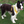 Load image into Gallery viewer, Padded yellow ANXIOUS harness
