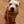 Load image into Gallery viewer, Padded yellow ANXIOUS harness
