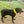 Load image into Gallery viewer, My Anxious Dog Yellow Padded Non-Pull Y Harness New Size 5