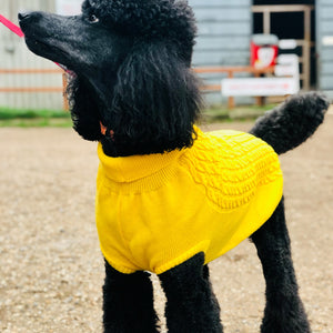 My Anxious Dog Yellow Space Awareness Jumper Large