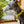 Load image into Gallery viewer, My Anxious Dog Yellow Space Awareness Dog Collar "ANXIOUS"
