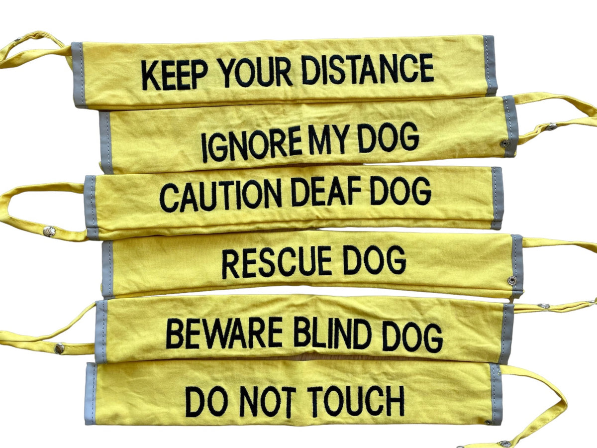 Nervous dog clearance lead slip cover