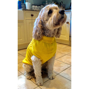 My Anxious Dog Yellow Space Awareness Jumper Large