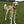 Load image into Gallery viewer, Padded yellow ANXIOUS harness