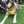 Load image into Gallery viewer, Padded yellow ANXIOUS harness