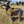 Load image into Gallery viewer, Padded yellow ANXIOUS harness
