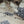 Load and play video in Gallery viewer, Unleash the fun of a Snuffle Rollie Pollie