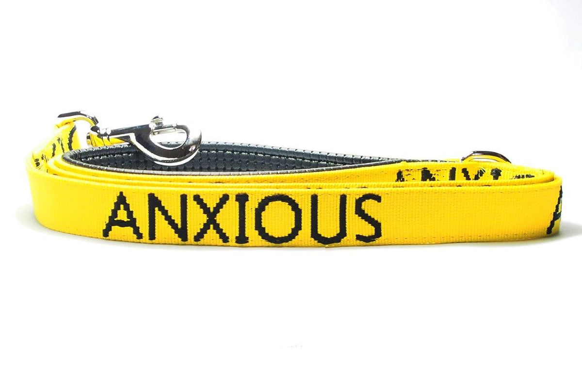 Nervous Dog Lead Space Awareness My Anxious Dog