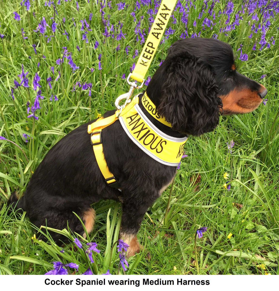 My Anxious Dog Yellow Space Awareness Lead KEEP AWAY Medium Large