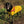 Load image into Gallery viewer, My Anxious Dog Yellow Space Awareness Jumper Large
