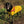 Load image into Gallery viewer, My Anxious Dog Yellow Space Awareness Jumper Large