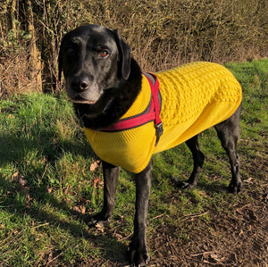 My Anxious Dog Yellow Space Awareness Jumper Large