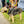 Load image into Gallery viewer, My Anxious Dog Yellow Space Awareness Dog Collar "ANXIOUS"