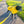 Load image into Gallery viewer, My Anxious Dog Yellow Space Awareness Jumper Large