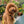 Load image into Gallery viewer, My Anxious Dog Yellow Space Awareness Lead "ANXIOUS" - Small/Medium