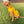 Load image into Gallery viewer, ANXIOUS DOG YELLOW LIGHTWEIGHT RAINCOAT (Large)
