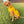 Load image into Gallery viewer, ANXIOUS DOG YELLOW LIGHTWEIGHT RAINCOAT (Large)