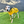 Load image into Gallery viewer, ANXIOUS DOG YELLOW LIGHTWEIGHT RAINCOAT (Large)