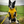 Load image into Gallery viewer, ANXIOUS DOG YELLOW LIGHTWEIGHT RAINCOAT (Large)