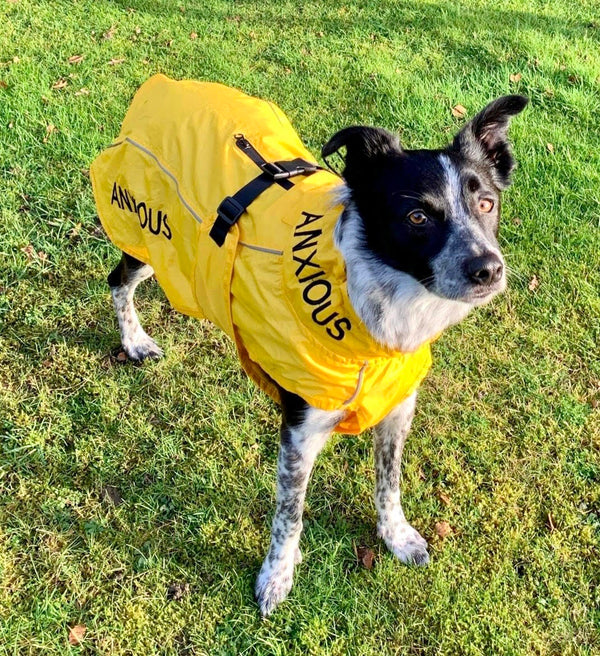 ANXIOUS DOG YELLOW LIGHTWEIGHT RAINCOAT (Large)