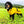 Load image into Gallery viewer, ANXIOUS DOG YELLOW LIGHTWEIGHT RAINCOAT (Medium)