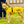 Load image into Gallery viewer, ANXIOUS DOG YELLOW LIGHTWEIGHT RAINCOAT (Medium)