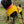Load image into Gallery viewer, ANXIOUS DOG YELLOW LIGHTWEIGHT RAINCOAT (Small)