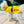 Load image into Gallery viewer, ANXIOUS DOG YELLOW LIGHTWEIGHT RAINCOAT (Small - Slim)