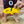 Load image into Gallery viewer, ANXIOUS DOG YELLOW LIGHTWEIGHT RAINCOAT (Small - Slim)