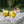 Load image into Gallery viewer, ANXIOUS DOG YELLOW LIGHTWEIGHT RAINCOAT (Small - Slim)