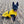 Load image into Gallery viewer, ANXIOUS DOG YELLOW LIGHTWEIGHT RAINCOAT (Small - Slim)