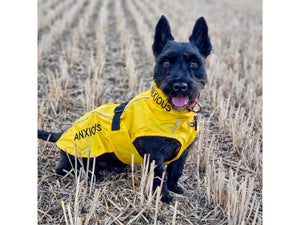 ANXIOUS DOG YELLOW LIGHTWEIGHT RAINCOAT (Small - Slim)