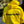 Load image into Gallery viewer, My Anxious Dog Yellow Space Awareness Hoodie