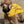 Load image into Gallery viewer, My Anxious Dog Yellow Raincoat 16"