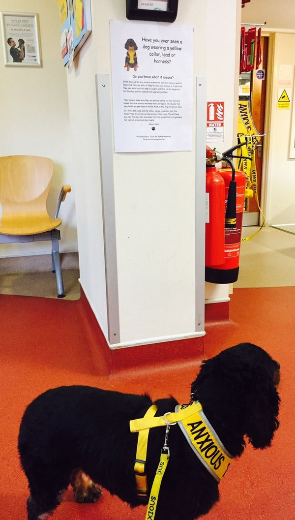 My Anxious Dog Yellow Space Awareness Campaign Pack