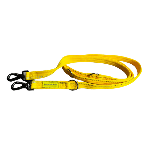 Yellow Space Awareness Double ended training lead with carabiner clips