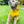 Load image into Gallery viewer, ANXIOUS DOG YELLOW LIGHTWEIGHT RAINCOAT (Medium)