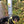 Load image into Gallery viewer, My Anxious Dog Yellow Space Awareness Campaign Pack