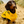 Load image into Gallery viewer, ANXIOUS DOG YELLOW LIGHTWEIGHT RAINCOAT (Medium)