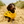Load image into Gallery viewer, ANXIOUS DOG YELLOW LIGHTWEIGHT RAINCOAT (Medium - Extra Slim)
