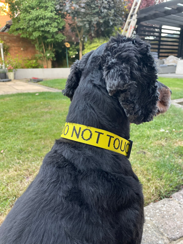 My Anxious Dog Yellow Space Awareness Collar "DO NOT TOUCH"