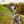 Load image into Gallery viewer, KEEP DOGS AWAY YELLOW SPACE AWARENESS DOG LEAD WITH CARABINER CLIP 1M M/L