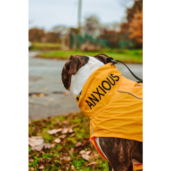 ANXIOUS DOG YELLOW LIGHTWEIGHT RAINCOAT (Large)