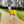 Load image into Gallery viewer, ANXIOUS DOG YELLOW LIGHTWEIGHT RAINCOAT (Extra Large)
