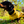 Load image into Gallery viewer, ANXIOUS DOG YELLOW LIGHTWEIGHT RAINCOAT (Small - Extra Slim)