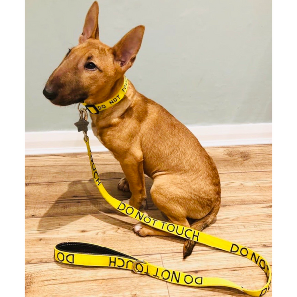 My Anxious Dog Yellow Space Awareness Collar "DO NOT TOUCH"