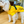 Load image into Gallery viewer, ANXIOUS DOG YELLOW LIGHTWEIGHT RAINCOAT (Small - Extra Slim)