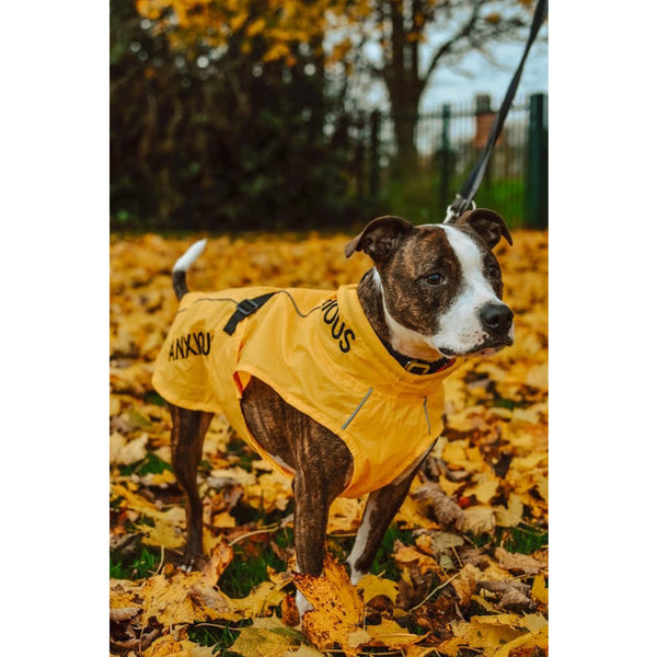ANXIOUS DOG YELLOW LIGHTWEIGHT RAINCOAT (Large)