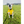 Load image into Gallery viewer, ANXIOUS DOG YELLOW LIGHTWEIGHT RAINCOAT (Large)
