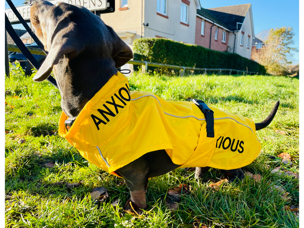 ANXIOUS DOG YELLOW LIGHTWEIGHT RAINCOAT (Medium - Extra Slim)